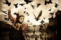 42 - Free as a bird - KOIS SAVVAS - greece